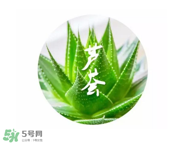 蘆薈膠的醫(yī)療作用有哪些？蘆薈膠的使用方法有哪些？