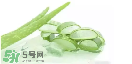 蘆薈怎么吃？蘆薈番茄湯的做法 
