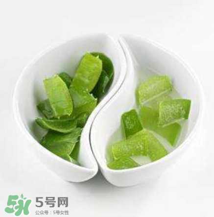 新鮮的蘆薈怎么吃？蘆薈的多種吃法
