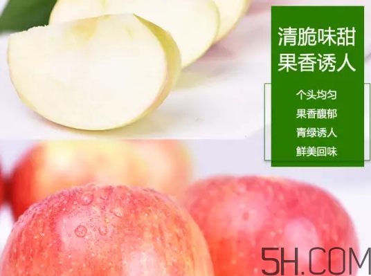 美八蘋果價格多少錢？美八蘋果多少錢一斤？