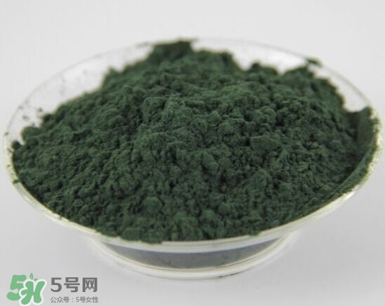 螺旋藻粉怎么吃？螺旋藻粉的功效與作用