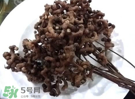 拐棗可以嫁接嗎？拐棗是哪里的特產(chǎn)