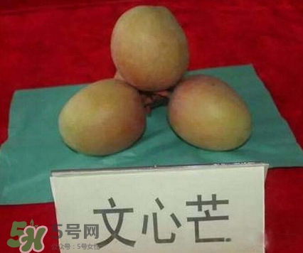 芒果有哪些品種？哪種芒果最好吃？