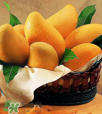 芒果怎么吃？芒果的做法大全