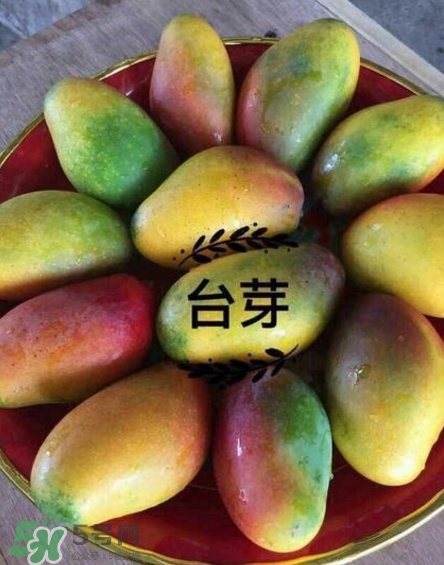 芒果有哪些品種？哪種芒果最好吃？