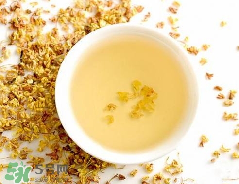 桂花茶怎么泡好喝？桂花茶怎么制作？