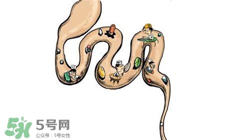 螺旋藻能治胃病嗎？有胃病日常需要注意什么？
