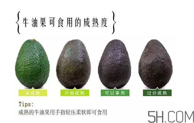 牛油果和香蕉一起能多吃嗎？牛油果挑什么樣的好？