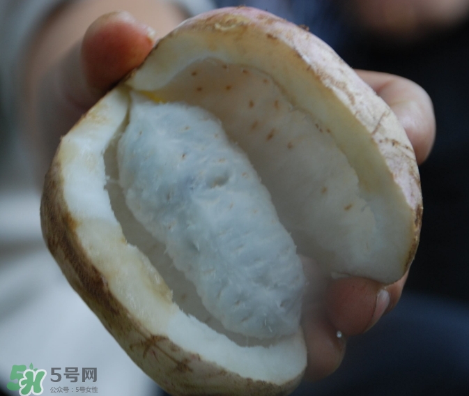八月瓜可以經(jīng)常吃嗎？八月瓜可以多吃嗎？