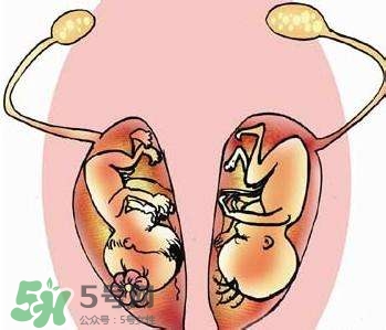 雙子宮對(duì)懷孕有影響嗎？雙子宮懷孕要注意什么？