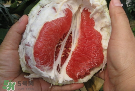 紅肉蜜柚可以儲(chǔ)存多久？紅肉蜜柚怎么挑選
