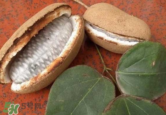 八月瓜能放冰箱嗎？八月瓜怎么保存？