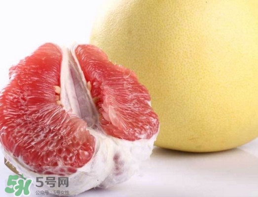 紅肉蜜柚是哪里產(chǎn)的？紅肉蜜柚的種植技術(shù)