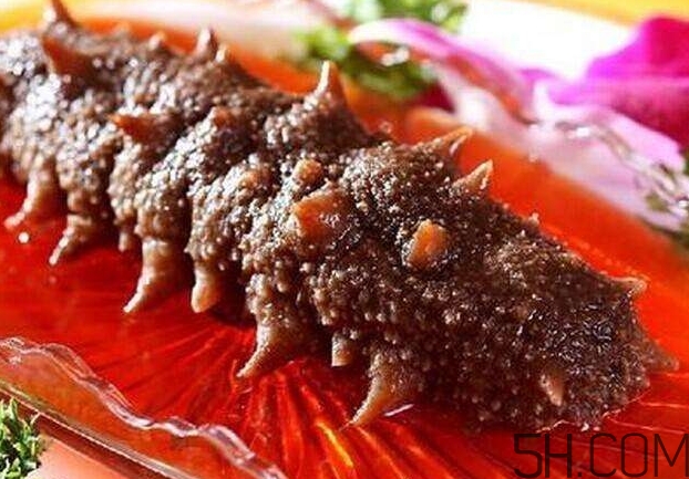 海參能和西紅柿一起吃嗎？海參和什么一起吃最好？