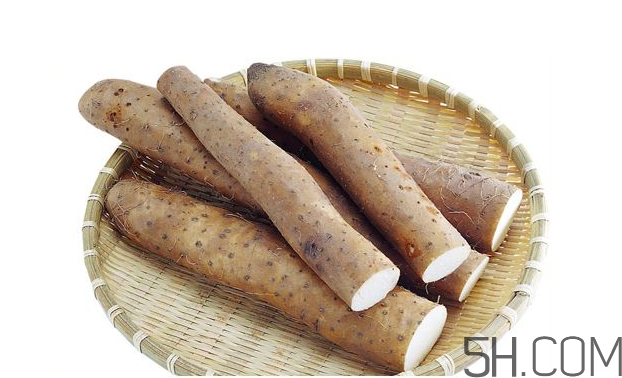 山藥發(fā)芽怎么處理？山藥的功效及作用
