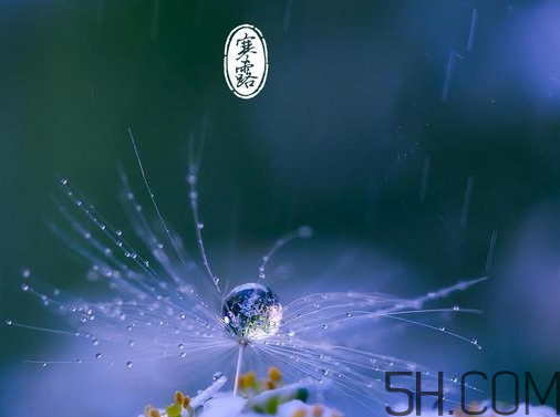 2017年寒露會下雨嗎？寒露下雨好嗎？