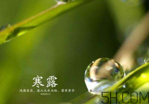 2017年寒露會下雨嗎？寒露下雨好嗎？