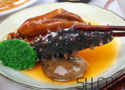 海參是海鮮嗎？海參是動物還是植物？