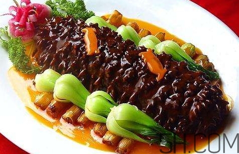 海參是高蛋白食物嗎？海參是素食嗎？