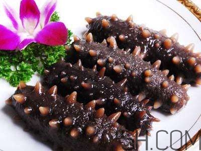 海參是高蛋白食物嗎？海參是素食嗎？