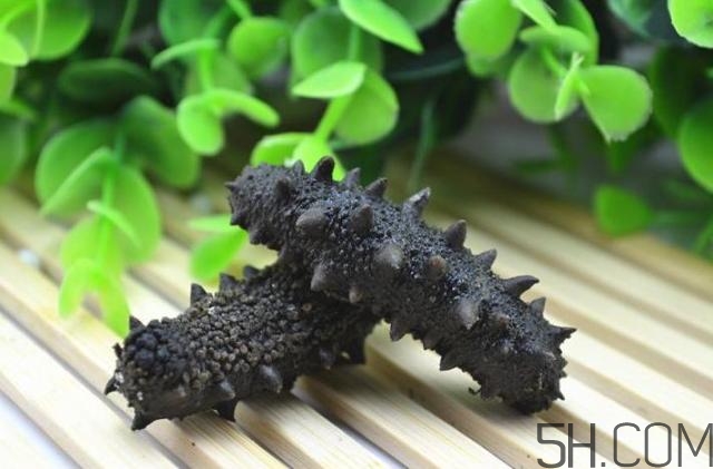 海參是越大越好嗎？海參的生長(zhǎng)年限與營(yíng)養(yǎng)價(jià)值有關(guān)嗎？