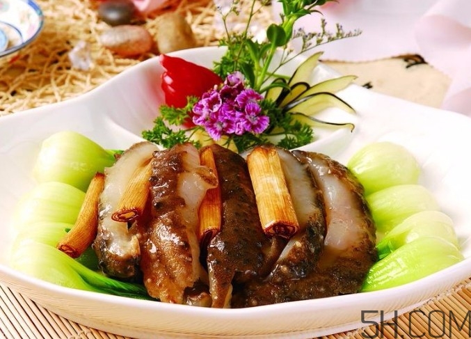 海參是高蛋白食物嗎？海參是素食嗎？