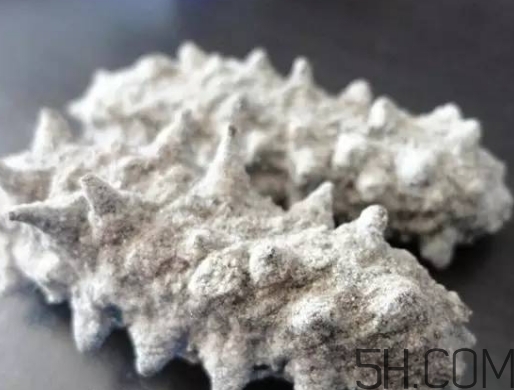 海參顏色深好還是淺好？海參顏色發(fā)白時(shí)怎么回事？