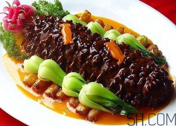 膽固醇高能吃海參嗎？膽固醇高吃海參有什么好處？