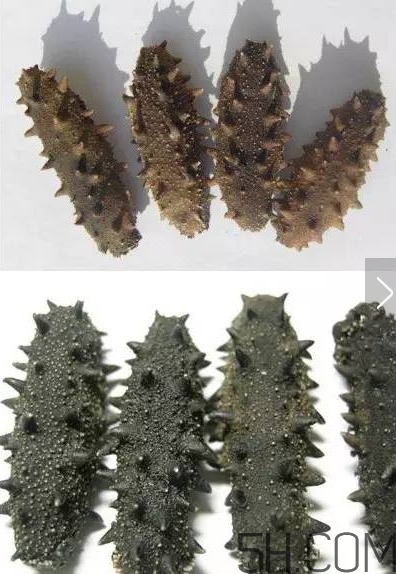 海參顏色深好還是淺好？海參顏色發(fā)白時(shí)怎么回事？