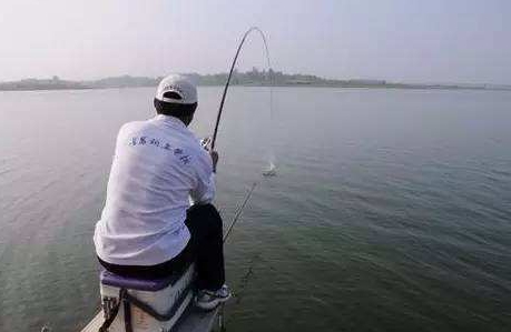 大蒜泡酒能釣魚嗎？大蒜泡酒釣魚的方法