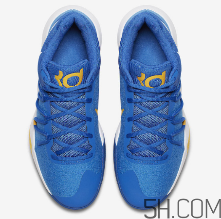 nike kd trey 5 v warriors勇士配色多少錢_在哪買？
