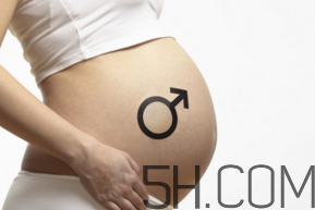 懷男孩和懷女孩的特征是什么？孕婦肚子硬生男生女？