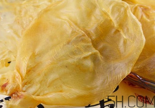 魚膠是魚泡嗎？魚膠是海鮮嗎