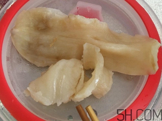 魚膠是魚泡嗎？魚膠是海鮮嗎