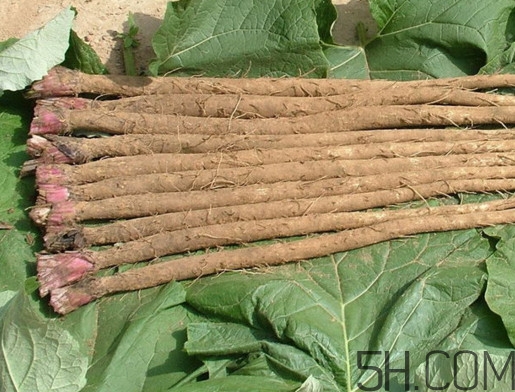 牛蒡是牛大力嗎？牛蒡和牛大力的區(qū)別