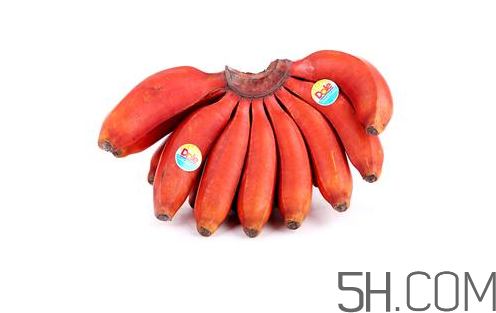 紅香蕉和普通香蕉的區(qū)別？香蕉可以放冰箱冷凍嗎？