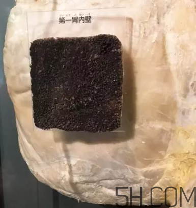 牛百葉和毛肚是一個東西嗎？牛百葉上面有層黑皮能吃嗎？