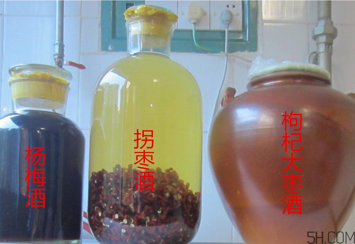 拐棗能泡酒嗎？拐棗能和蜂糖一起泡酒嗎？
