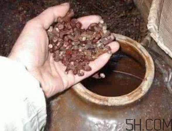 拐棗能泡酒嗎？拐棗能和蜂糖一起泡酒嗎？