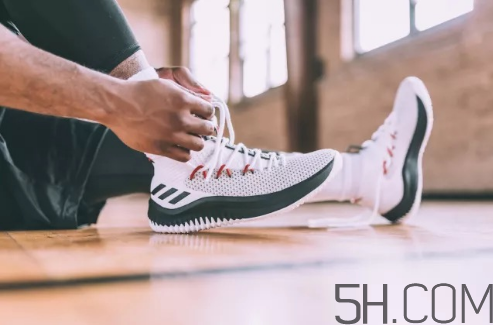 adidas dame 4多少錢？阿迪達(dá)斯利拉德四代上腳效果
