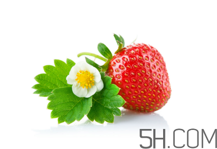 吃了發(fā)霉的草莓怎么辦？怎樣挑選草莓？