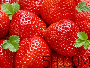 草莓都有哪些熱門品種？草莓怎么放不容易壞？