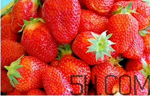 草莓都有哪些熱門品種？草莓怎么放不容易壞？