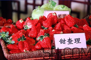 草莓都有哪些熱門品種？草莓怎么放不容易壞？