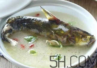 黃骨魚和鯽魚哪個(gè)好？黃骨魚和鯽魚的營養(yǎng)價(jià)值