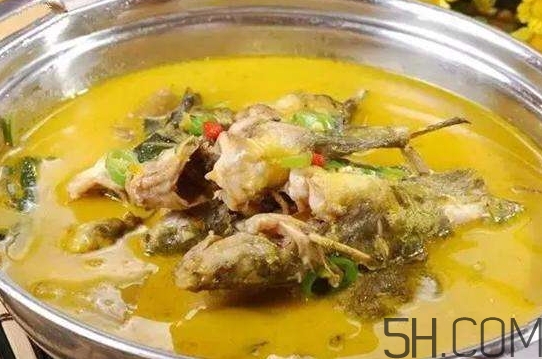 黃骨魚(yú)怎么處理？黃骨魚(yú)怎么清洗？