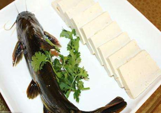 黃骨魚有刺嗎？黃骨魚有毒嗎？