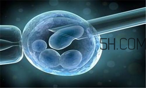 人工授精取卵子怎么??？人工授精男人怎樣取精？