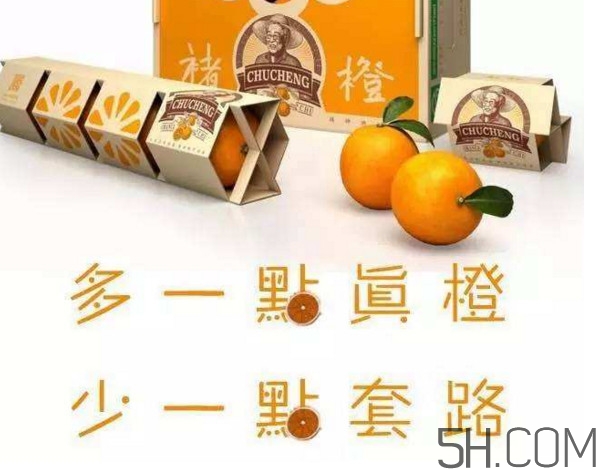褚橙真的那么好吃嗎？褚橙哪里可以買到