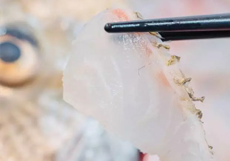 鯛魚怎么做？鯛魚是海魚還是淡水魚